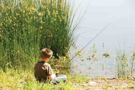 Young-Boy-Fishing